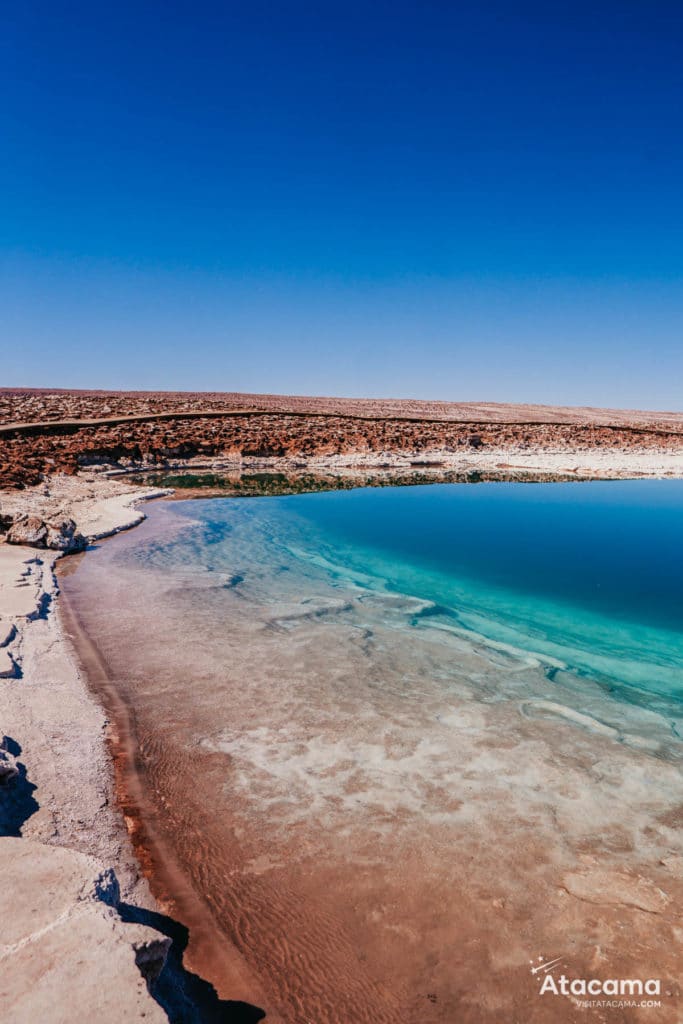 Lagunas Escondidas do Deserto do Atacama, Chile